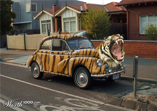 Illustration for article titled TIGER ALL THE THINGS!